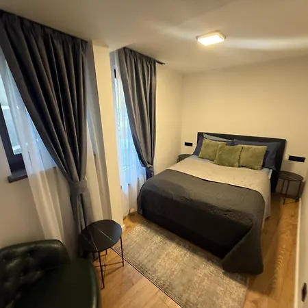 Bistrik Old Town Free Parking 아파트 *